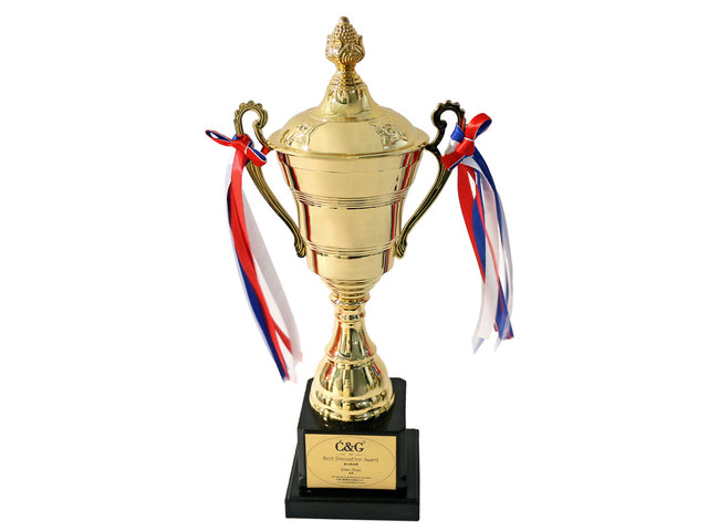 Handmade Memorabilia - Meeting/ Government/ Company/ Education gold custom Trophy Cup - L44000096 Photo