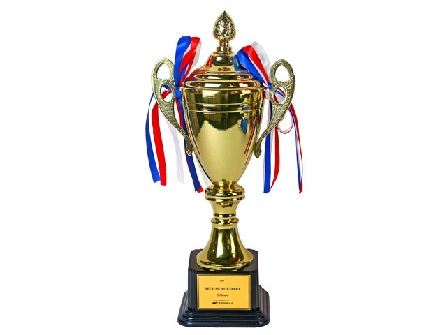 Handmade Memorabilia - Meeting/ Government/ Company/ Education gold custom Trophy Cup - L44000098 Photo