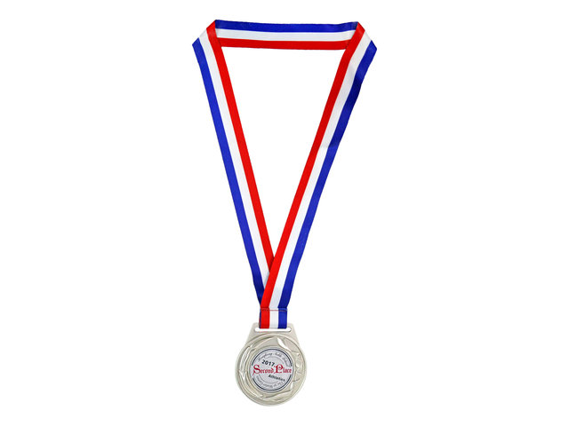 Handmade Memorabilia - School/Corporate/Government/Dinner Party silver color customized award medal - L44000106 Photo