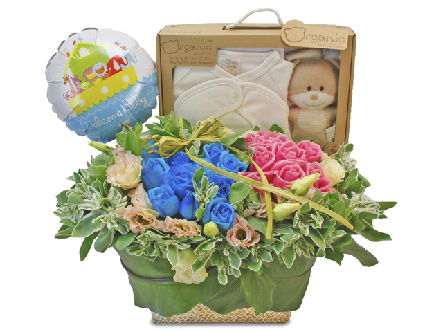 New Born Baby Gift - Baby Gift Flower Set F1 - L85195 Photo