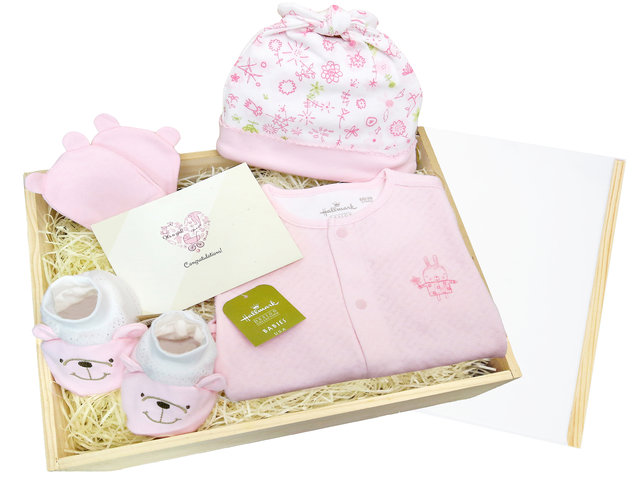 New Born Baby Gift - Baby Gift Set HM01 - BY0413A5 Photo
