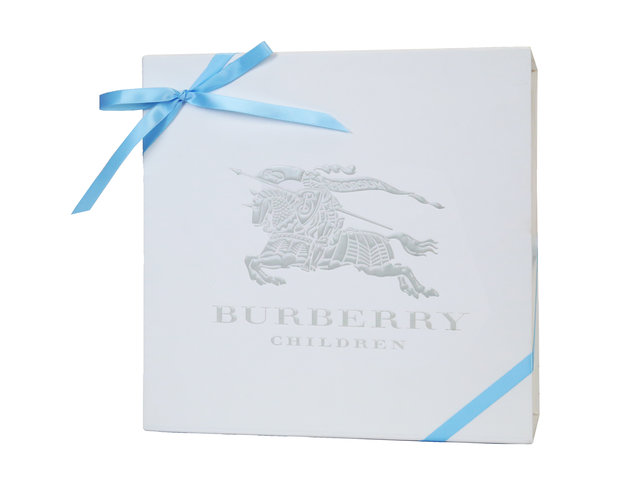New Born Baby Gift - Burberry Check Detail Four-piece Baby Gift Set - EB0507A4 Photo