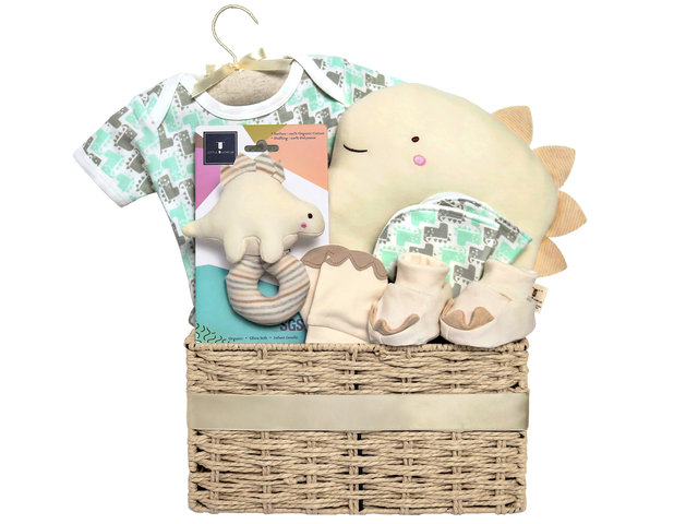 New Born Baby Gift - Little Blooms Organic Cotton Baby Gift Hamper NB09 - BY0308A3 Photo