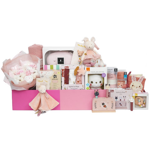 New Born Baby Gift - Mega Baby Bliss Gift Hampers - VE0603B2 Photo