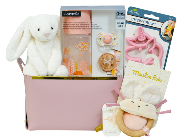 New Born Baby Gift - Mini New Born Baby Girl Gift Hamper BB024 - VE0317A3 Photo
