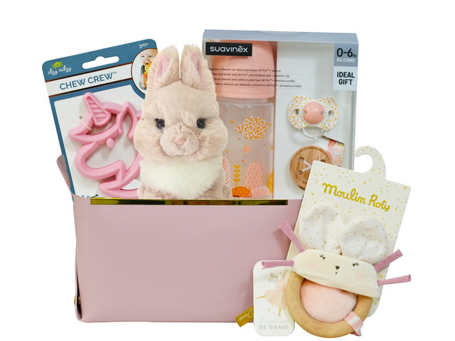 New Born Baby Gift - Mini New Born Baby Girl Gift Hamper BB024 - VE0317A3 Photo