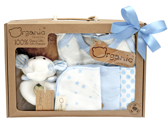 New Born Baby Gift - Natural Charm Organic Cotton Baby Gift Set - L36667862 Photo