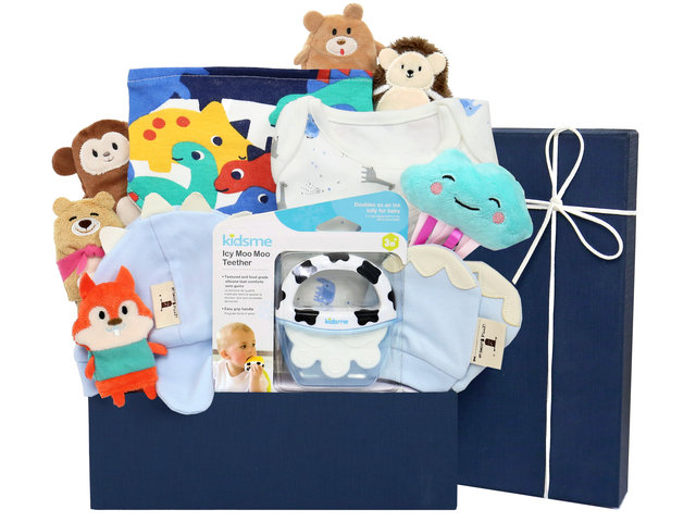 Hong Kong baby hampers & baby new born gifts 2023 - Same Day Hong