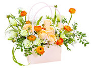 /en/s/product_short/VB20124A2b