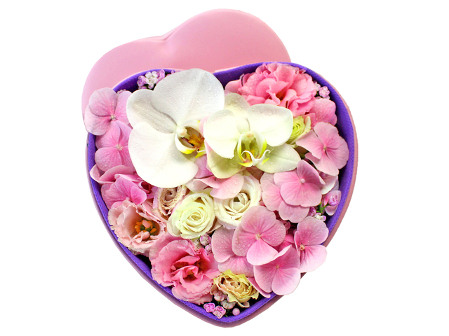 Order Flowers in Box - Hydrangea Box Flower 1 - L156371 Photo