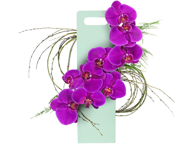 Order Flowers in Box - Mother's Day Gifts Orchid Decoration Z1 - MR0320A4 Photo