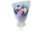 /en/s/product_short/L36515894