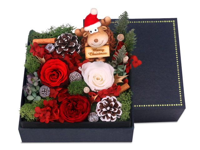 Preserved Forever Flower -  Christmas preserved flower gift box M61 - PR1108A3 Photo