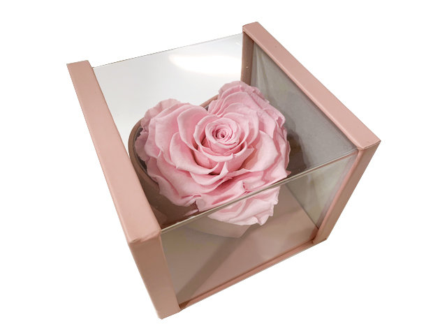 Preserved Forever Flower - Heart-shape Pink Preserved Flower Gift Box A7 - A7 Photo