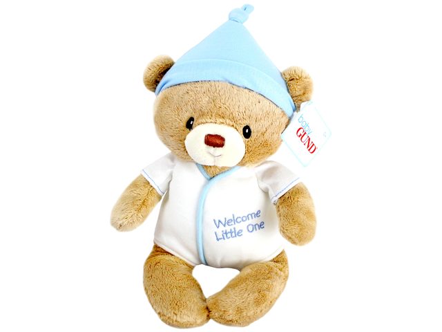 Teddy Bear n Doll - Baby GUND Bear(Boy) - L116472 Photo