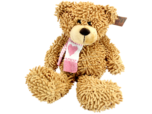 Teddy Bear n Doll - Color Rich Fuzzy Bean Bag Bear - L116296 Photo