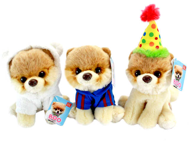 Teddy Bear n Doll - GUND Japan Boo Shunsuke - L153427 Photo