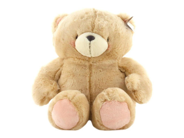 Teddy Bear n Doll - Hallmark Forever Friends 28cm Big Teddy - TF0502A1 Photo