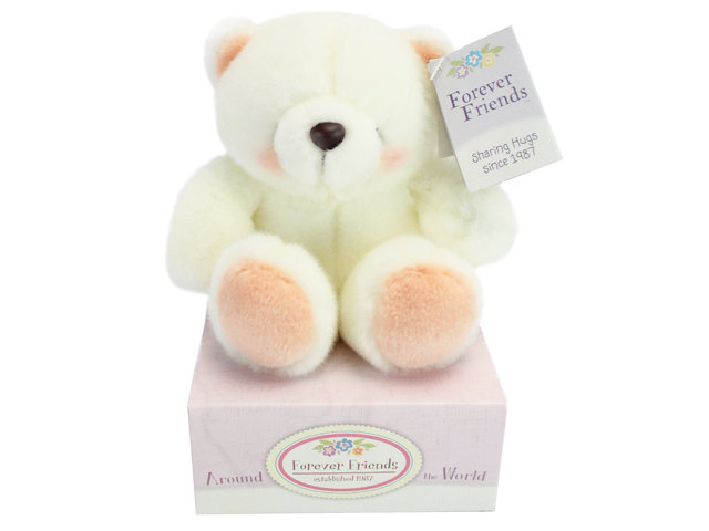 Teddy Bear n Doll - Hallmark Forever Friends White Teddy(Medium) - L134755 Photo