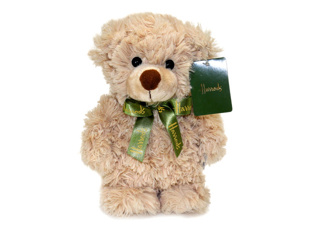 Teddy Bear n Doll - Harrods Stan Bear - L76609996 Photo