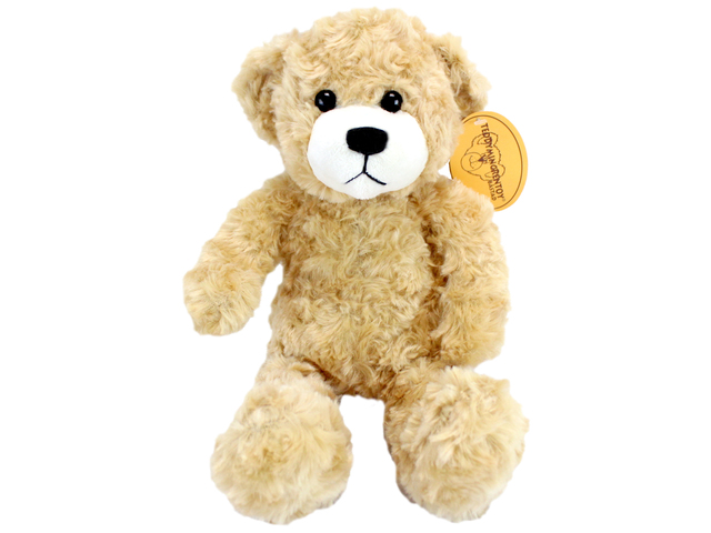 Teddy Bear n Doll - Teddy Min Grentoy Bastad(Boy) - L116307 Photo