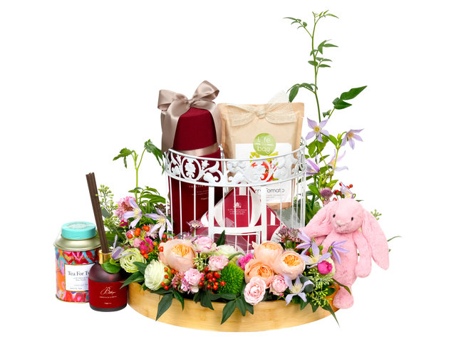 VIP 系列(非花) - 2023 VIP网页 0321A7 - VE0321A7 Photo