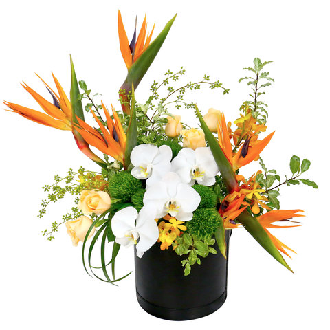 VIP - Bird of Paradise Flower Florist Basket FD019 - VE0320C3 Photo