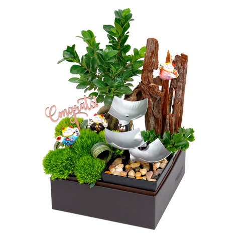 VIP - Grand Opening Plant with Flowing Water Furnishing Gift Set OF018 - VE0328A2 Photo
