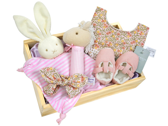 VIP - Newborn baby BB 30 days/100 days banquet gift set BB004 - Rabbit costume toy set - VE0225D6 Photo