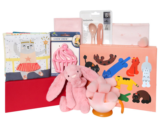 VIP - Newborn baby BB 30 days/100 days banquet gift set BB008 - VE0225D2 Photo