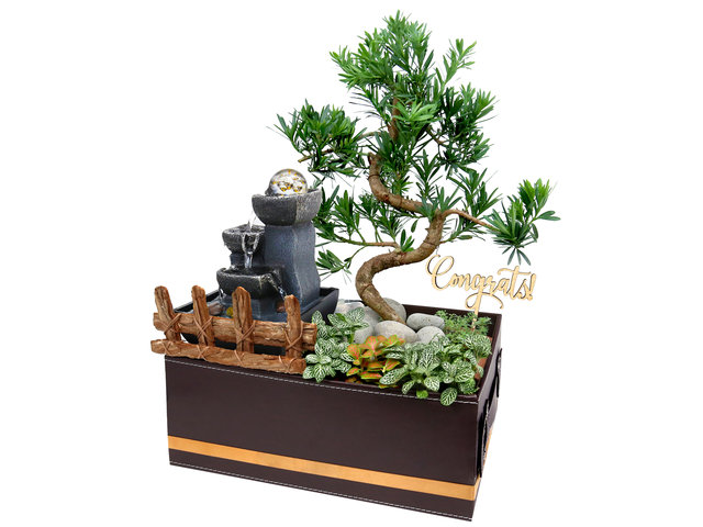 VIP - Opening Bonsai Plant with Water Feature Gift Set OF004 - VE0303G6 Photo