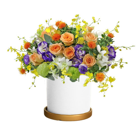 VIP - VIP website FD005 - VE0224B8 Photo