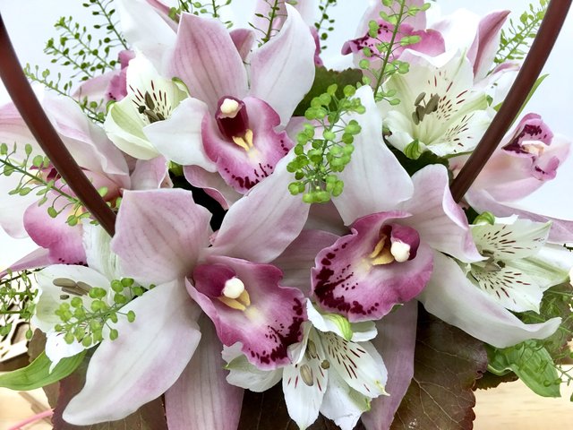 Weekly Import Flower - Mother's Day - Pink Cymbidium Basket LED05 - 1BB0504A1 Photo