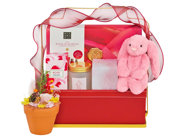 Wine n Food Hamper - Take care of your Skin Care Gift Hamper FH269  - SE0220A1 Photo