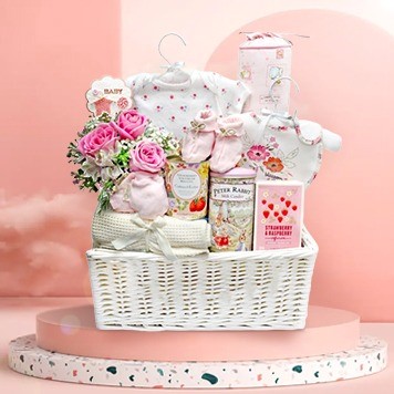 Newborn Baby Gift Idea Blog