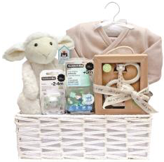 Baby Organic Gift Basket