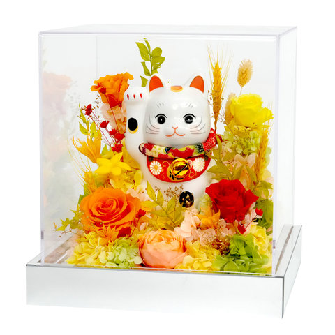 永生不死花 - 开张招财猫永生花盒 FD014 - VE0310C8 Photo