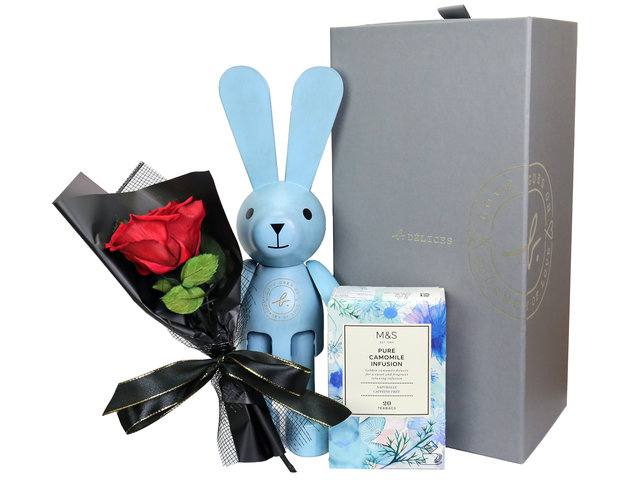 礼物篮Hamper - KOL活动B (Agnes b.木兔) - KOLxAgnesb2 Photo