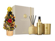 /zh/s/product_short/XR1125A1