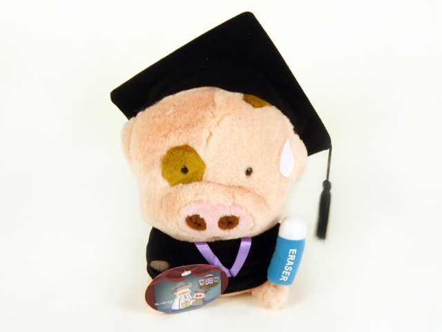 花店附加礼物 - Graduation McDull - P7720 Photo