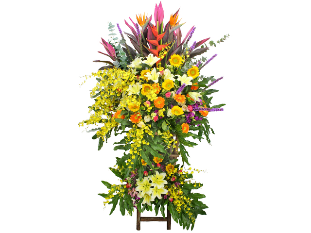 開張花籃 - 鮮艷花園開張花籃OF012 - VE0226B2 Photo