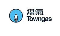 Hong Kong Flower Shop GGB client TOWNGAS