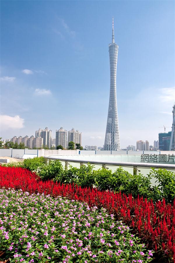 A Great Place To Buy Flowers In Guangzhou-- Lingnan Flower Market