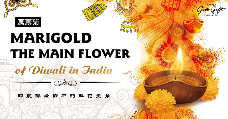 印度排灯节中的鲜花主角——万寿菊