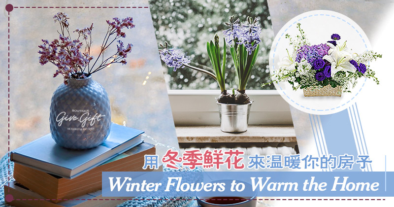 用冬季鮮花來溫暖你的房子