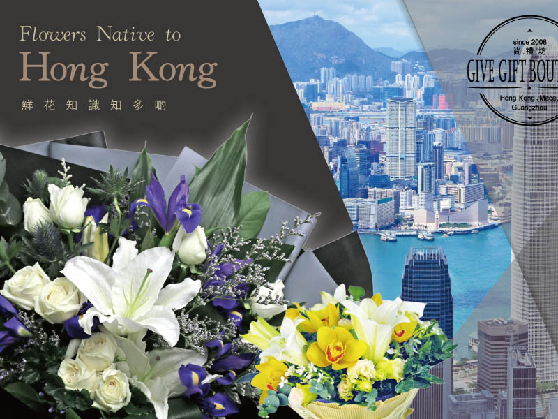 鲜花知识知多啲 – 香港本地花卉