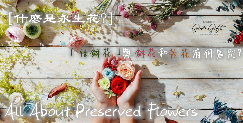What is Preserved Flower? What is the difference between Preserved Flower and Fresh Flowers and Dried Flowers? Preserved Flower Care, Shelf Life, Price Range!