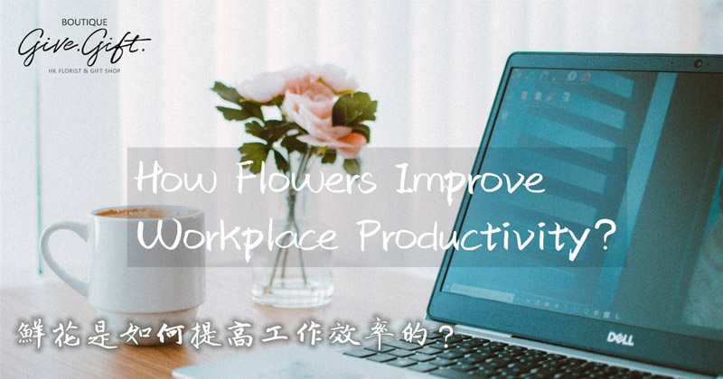 How Flowers Improve Workplace Productivity