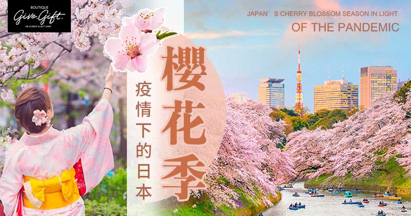 Japan’s Cherry Blossom Season in Light of the Pandemic 