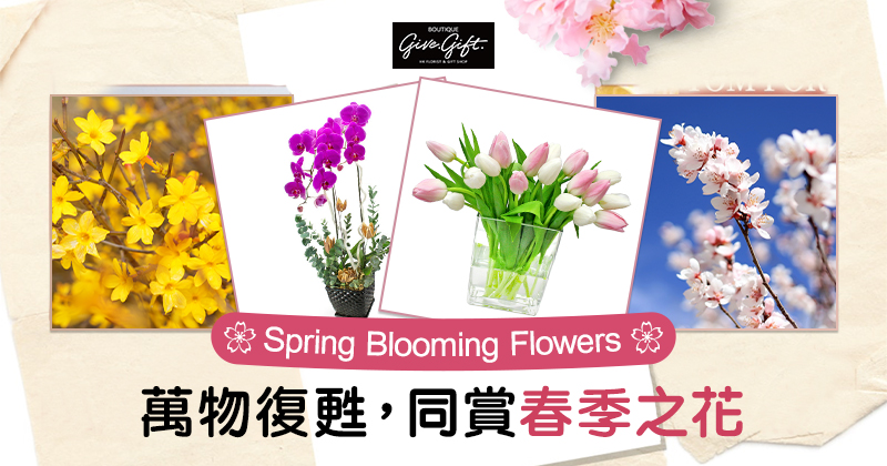 Spring Blooming Flowers